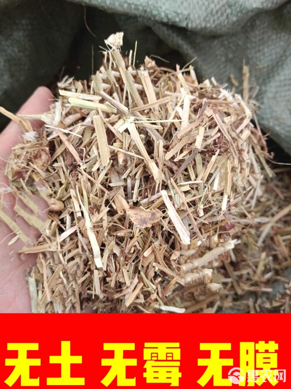 花生秧 从田间到舌尖的优质饲料，为牛羊马鹿驴带来天然滋养