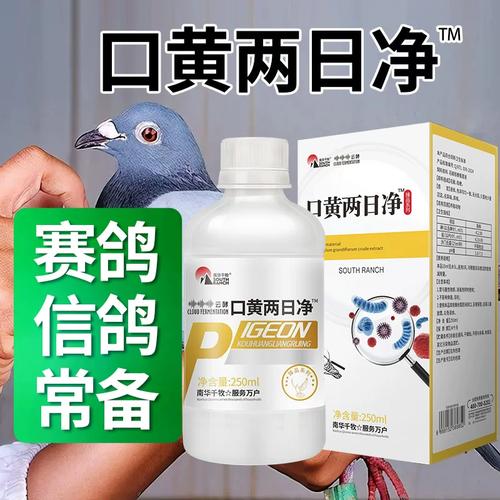 信鸽赛鸽养殖秘诀 口黄两日净与植物饲料原料的科学应用
